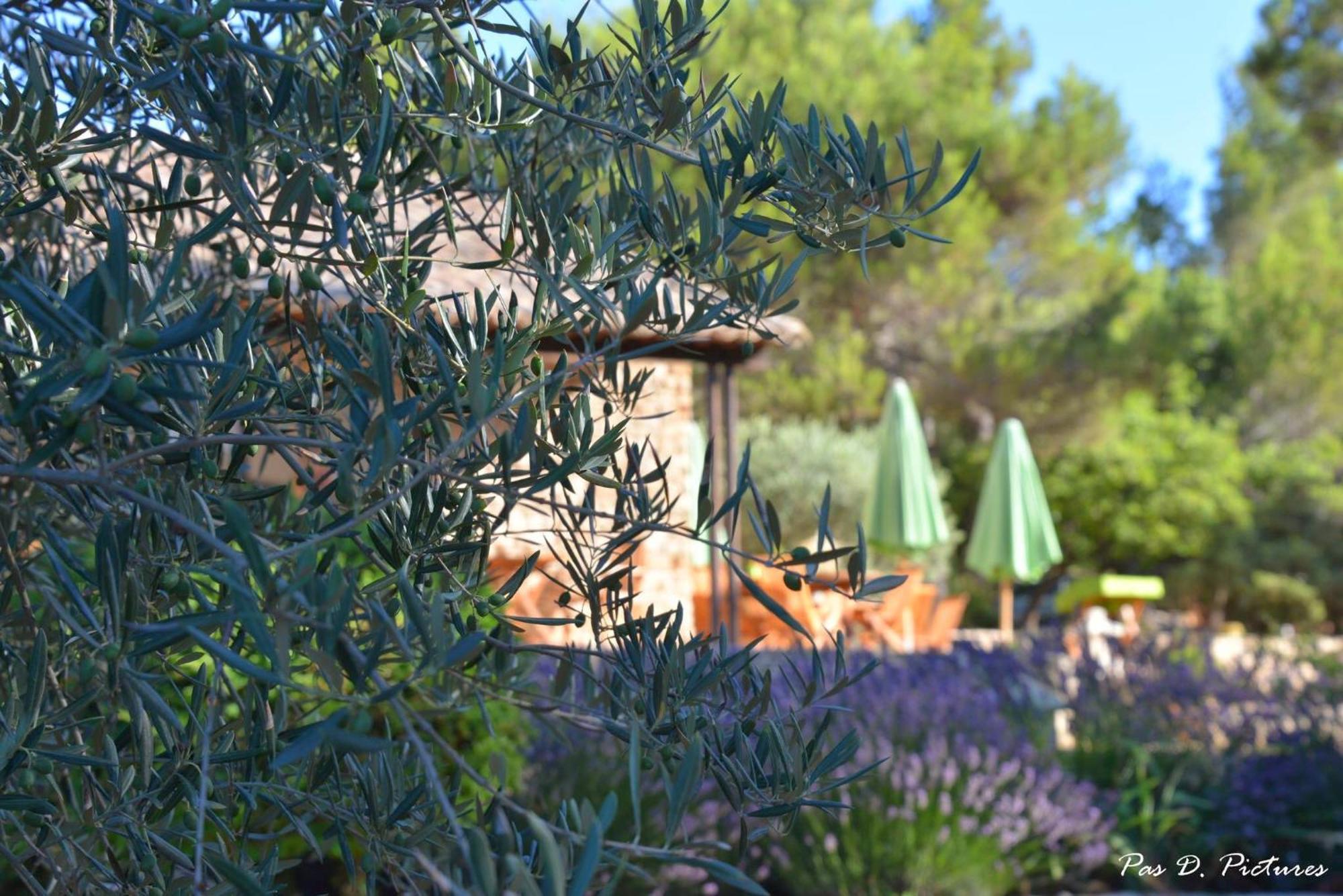 Le Jas De Hotel-restaurant